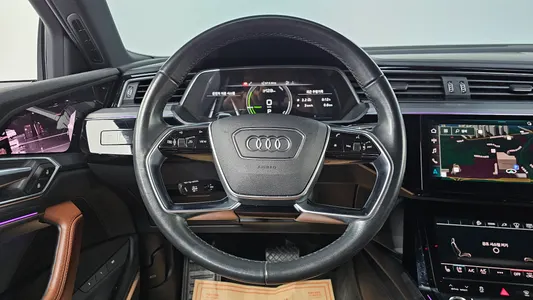 Audi e- 55 2021 13