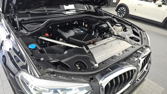 BMW X4 (G02) xDrive20d M 2021 6