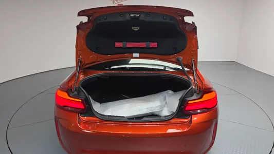 BMW M2 (F87) M2 2020 16