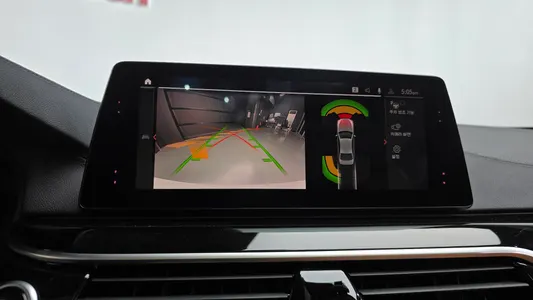 BMW 5 Series (G30) 520i 2019 14