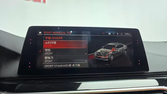 BMW 5 Series (G30) 520i 2019 32