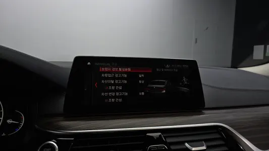 BMW 5 Series (G30) 530i 2019 17