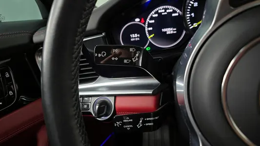 Porsche (971) 2.9 AWD E- 2020 17