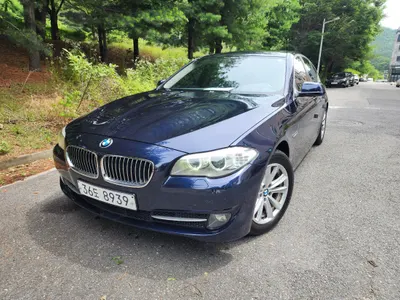 BMW 5 Series (F10) 520d 2011 19