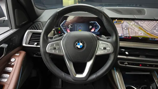 BMW X7 (G07) xDrive 40i 7 2023 12