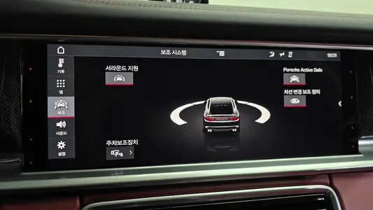 Porsche (971) 4.0 GTS 2019 31