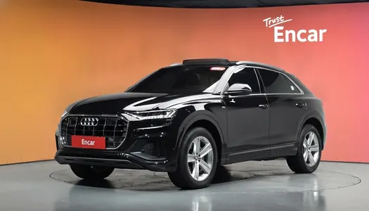 Audi Q8 (4M) 45 TDI 2021 20