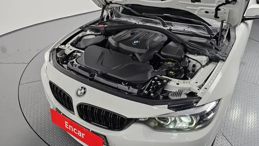 BMW 4 Series (F32) 420i M 2018 6