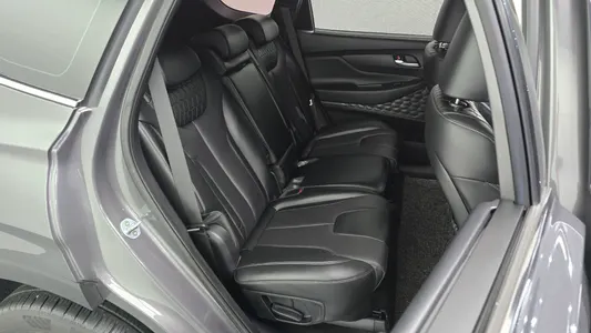 Hyundai TM 2.0 2WD 2019 11