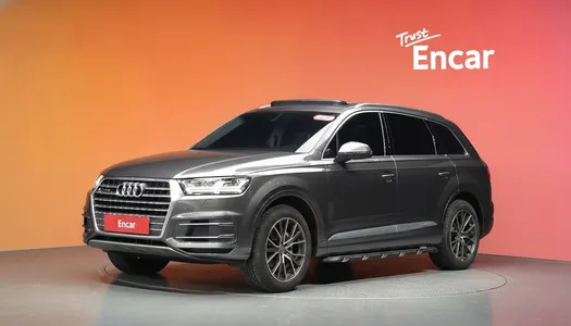 Audi Q7 (4M) 45 TFSI 2019 20