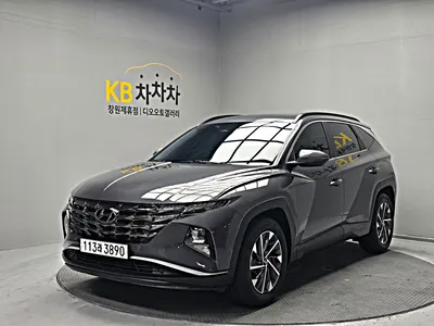 Hyundai (NX4) 2.0 2WD 2021