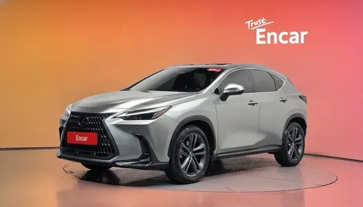 Lexus NX350h 2 2023