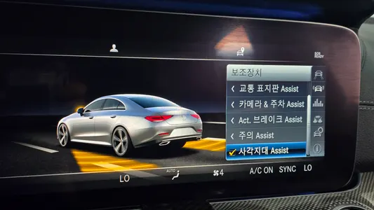 Mercedes-Benz CLS-Class C257 CLS300d AMG Line 2019 31