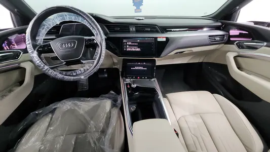 Audi e- 55 2020 7