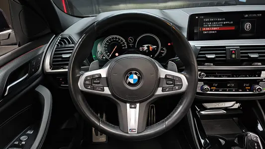 BMW X4 (G02) xDrive20d M 2019 13