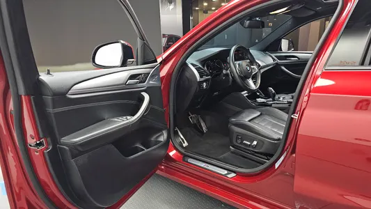 BMW X4 (G02) xDrive20d M 2019 10