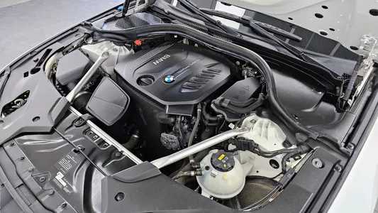 BMW 5 Series (G30) 520d xDrive 2018 6
