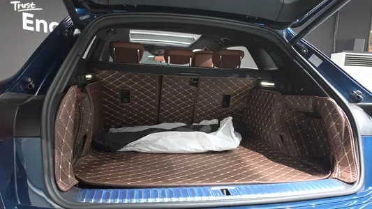 Audi e- 55 2020 18