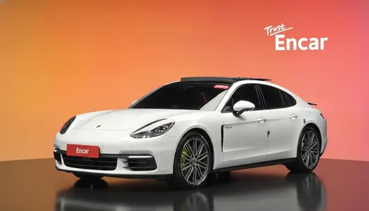 Porsche (971) 2.9 AWD E- 2020 1