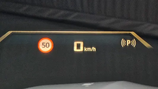 BMW X7 (G07) M60i xDrive M 6 2024 31