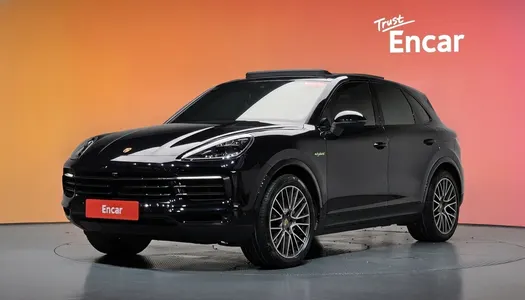 Porsche (PO536) 3.0 E- 2022 20