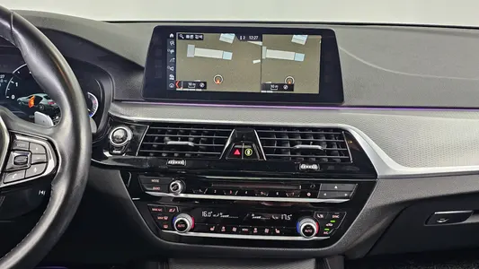 BMW 5 Series (G30) 520d M 2017 14