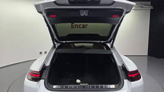 Porsche (971) 2.9 AWD E- 2018 20