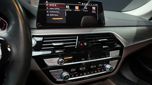 BMW 5 Series (G30) 520d 2020 14