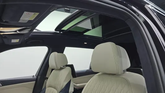 BMW X7 (G07) xDrive 30d 6 2019 19
