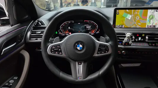 BMW X4 (G02) xDrive20i M 2025 13
