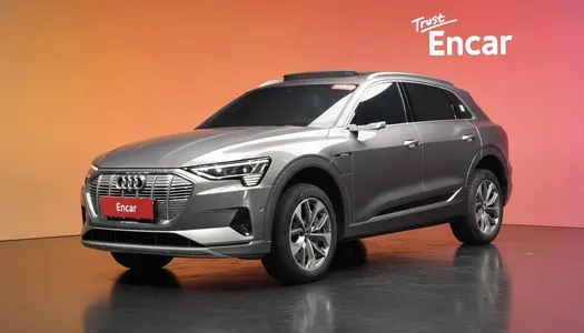 Audi e- 55 2020