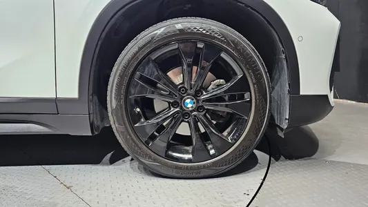 BMW X1 (F48) xDrive 18d 2020 21