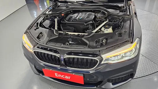 BMW 5 Series (G30) 520d M 2018 5