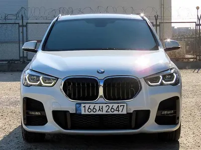 BMW X1 (F48) xDrive 20i M 2021