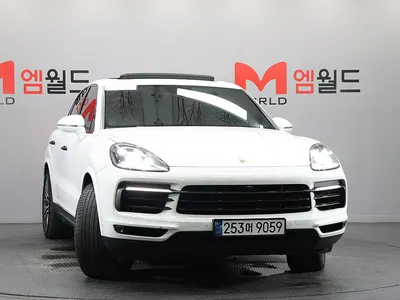 Porsche (PO536) 3.0 2019 5