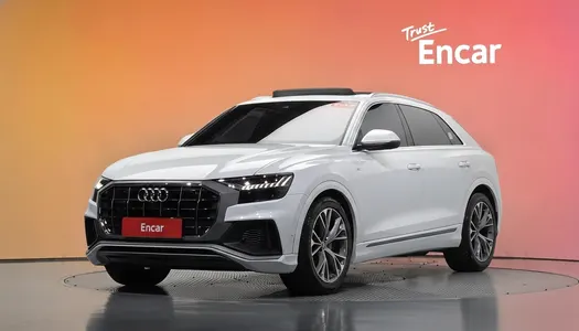 Audi Q8 (4M) 50 TDI 2021 20