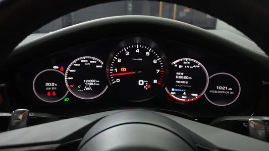 Porsche (971) 2.9 AWD 2021 8