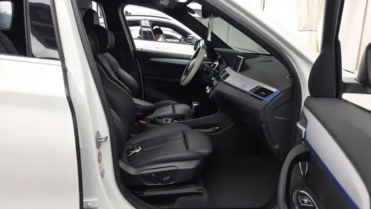 BMW X1 (F48) xDrive 20d M 2017 11