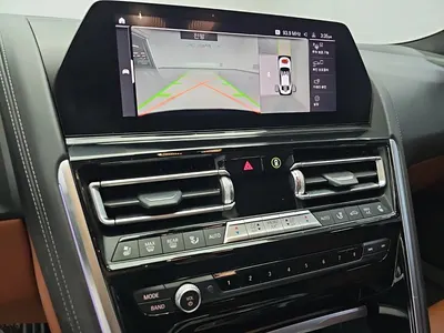 BMW 8 Series (G15) 840d xDrive M 2021 10