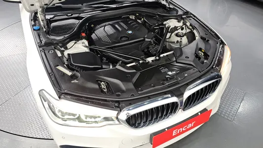 BMW 5 Series (G30) 520d M 2017 6