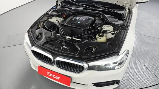 BMW 5 Series (G30) 520d M 2017 6