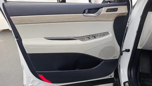 Hyundai Palisade 3.8 2WD 2021 24