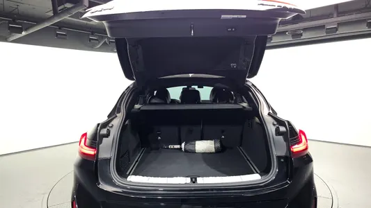 BMW X4 (G02) xDrive20d M 2023 31