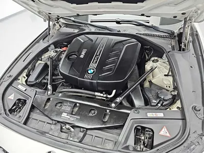BMW 5 Series (F10) 520d 2013 5