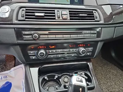BMW 5 Series (F10) 520d 2013 10