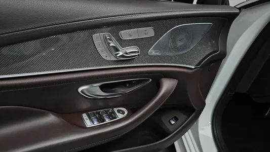 Mercedes-Benz CLS-Class C257 CLS300d AMG Line 2020 31