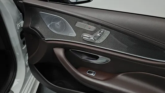 Mercedes-Benz CLS-Class C257 CLS300d AMG Line 2020 33