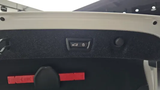 BMW 5 Series (G30) 530i 2018 30