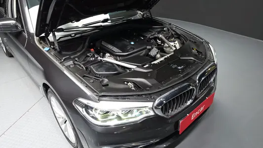 BMW 5 Series (G30) 520d xDrive 2019 5