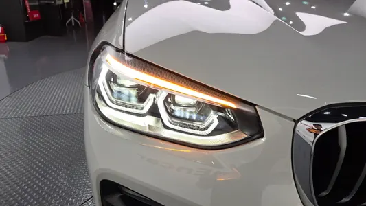 BMW X4 (G02) xDrive20i M X 2021 22